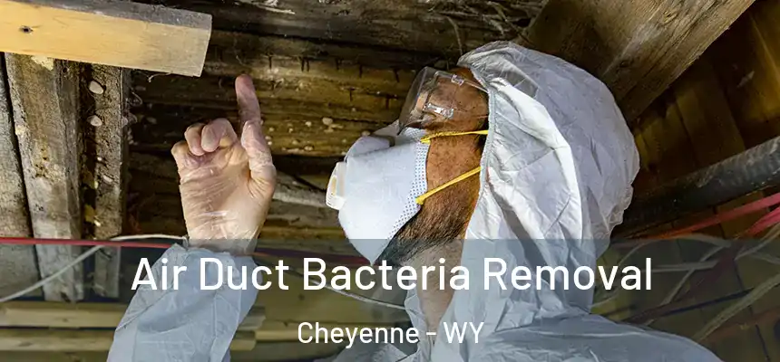  Air Duct Bacteria Removal Cheyenne - WY