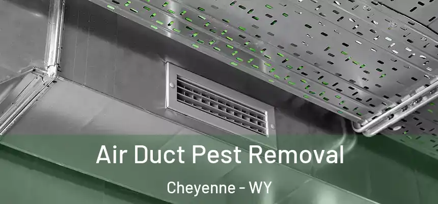  Air Duct Pest Removal Cheyenne - WY