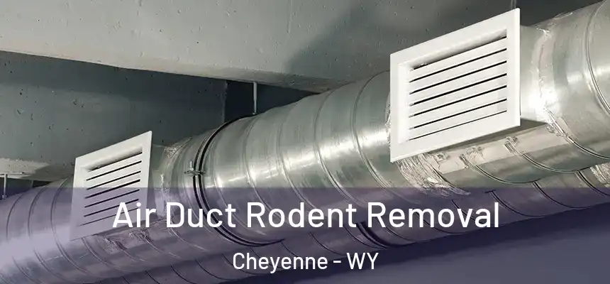  Air Duct Rodent Removal Cheyenne - WY