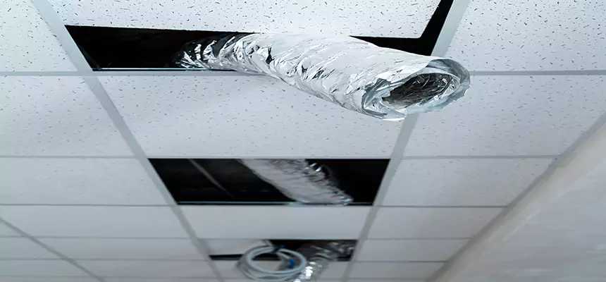 Our Air Duct Pet Hair Removal Services in Cheyenne, WY