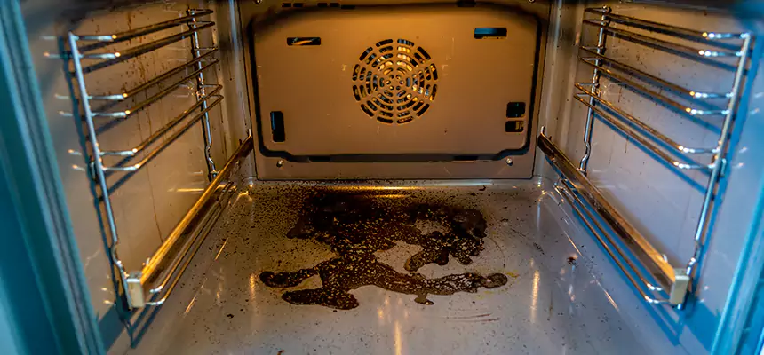 Our Dryer Vent Mold Cleaning Services in Cheyenne, WY