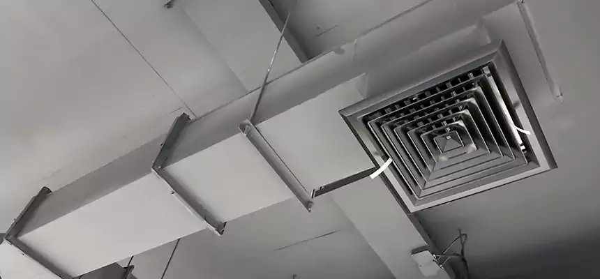 Our Rodent Droppings In Vents Services in Cheyenne, WY