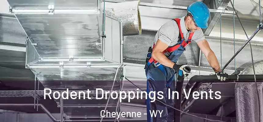  Rodent Droppings In Vents Cheyenne - WY