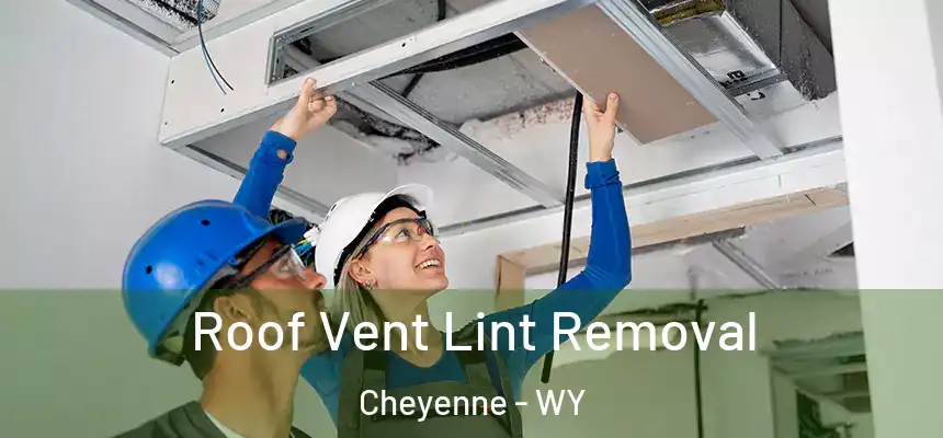  Roof Vent Lint Removal Cheyenne - WY