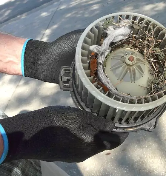 About Air Duct Mice Removal in Cheyenne, WY