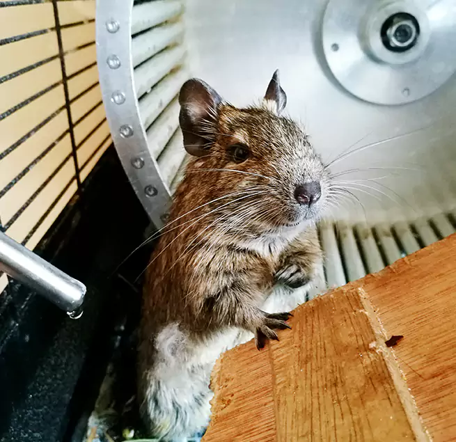 Why Homeowners & Businesses Trust Us Cheyenne, WY