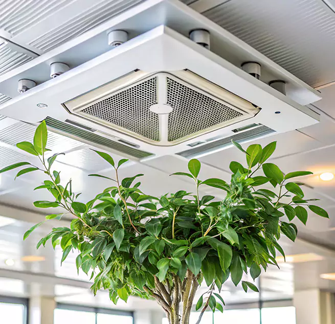 Why Homeowners & Businesses Trust Us in Cheyenne, WY?